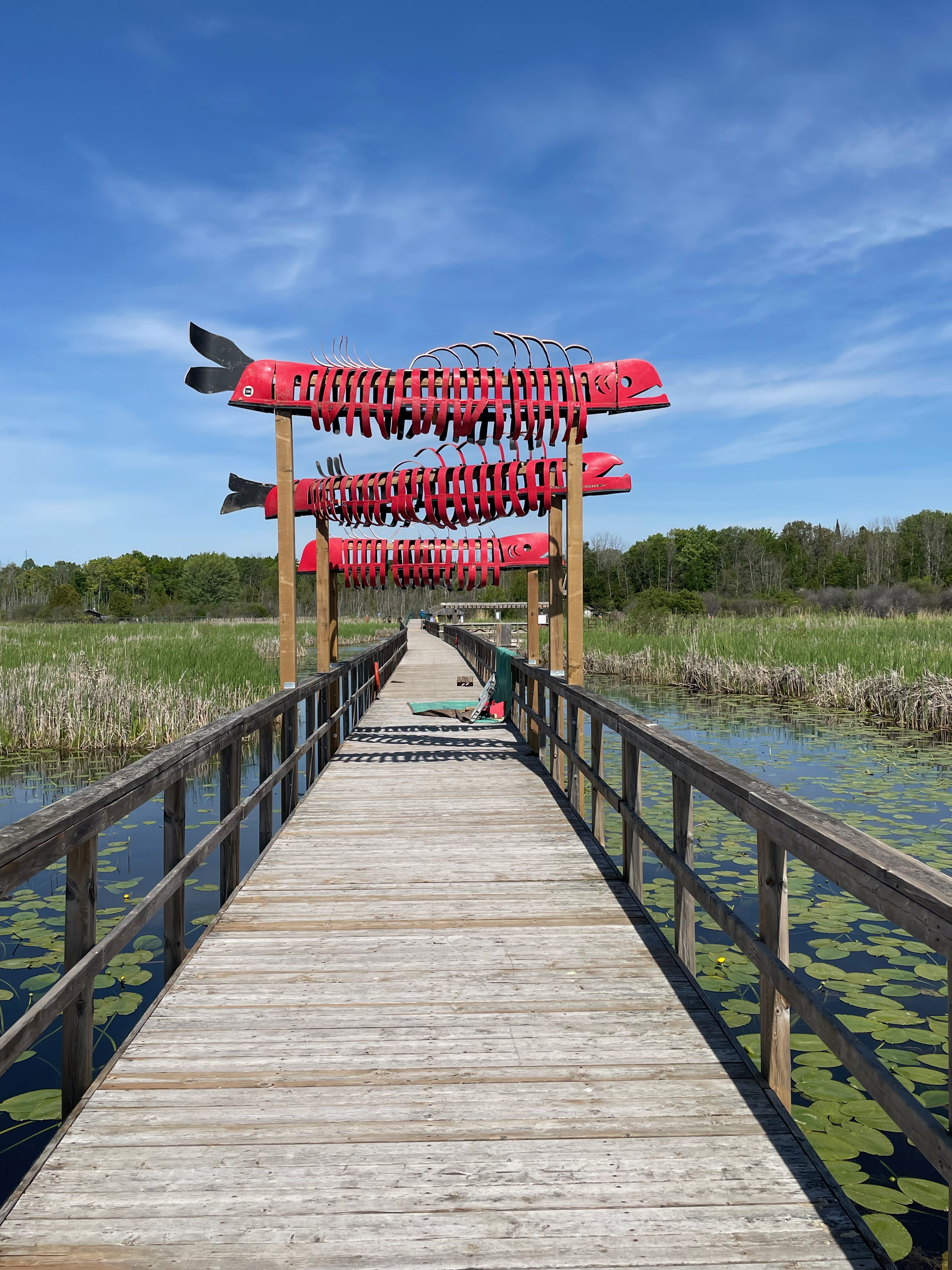 Beyond the Boardwalk an experience not to be missed at Wye Marsh in Midland Ontario by Atist John Notten