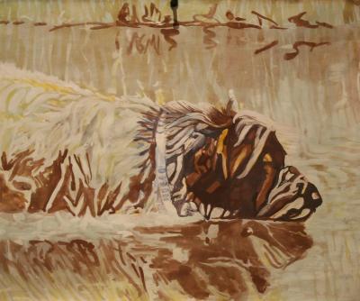 animals-from-canadian-and-cork-ireland-artist---art-van-leeuwen