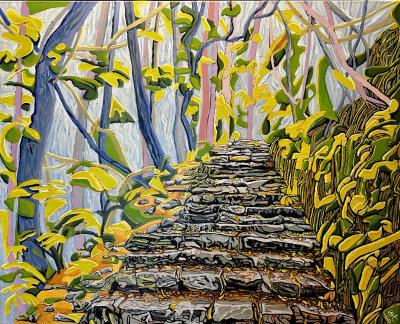 torc-staircase---torc-falls---killarney-national-park-from-canadian-and-cork-ireland-artist---art-van-leeuwen